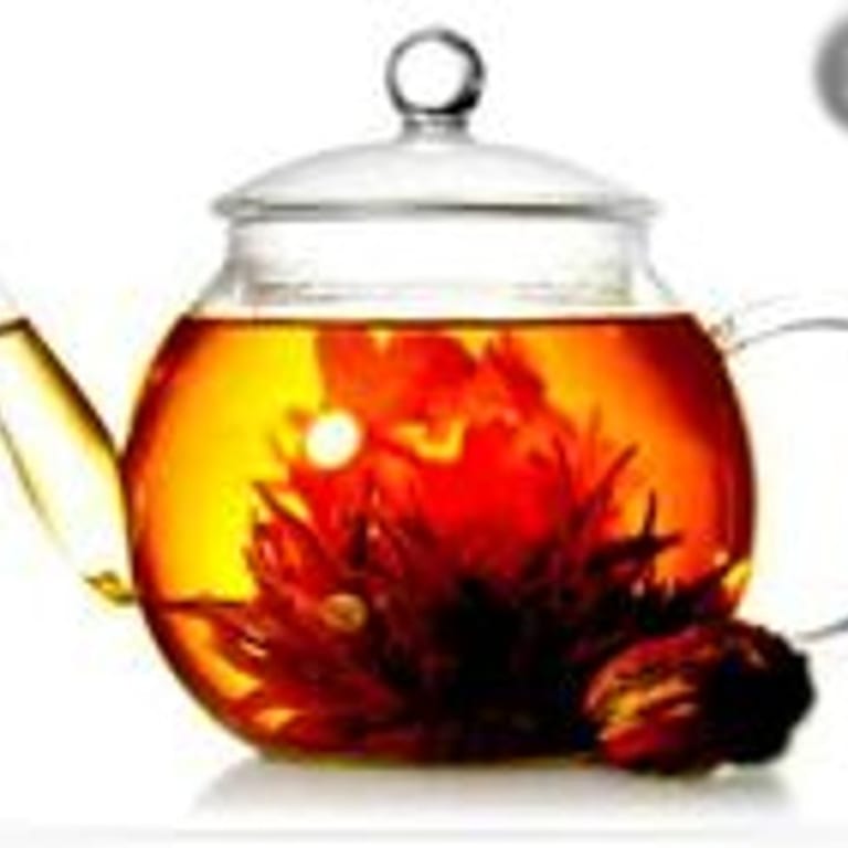 Discover Our Tea Selection
